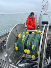 Wild Alaska Sockeye Salmon Box