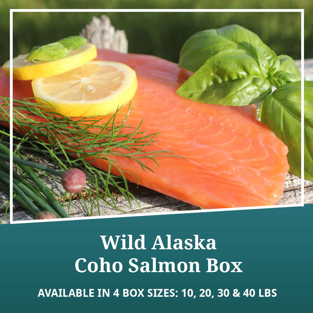 Wild Alaska Coho Salmon Box – Alaskans Own